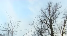 Jaki będzie ten tydzień? Pomieszany...