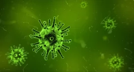 Co trzeba wiedzieć o wirusie HPV?