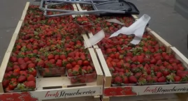 Handlarz truskawek i kreatywne groźby