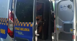 Odwiedziny u znajomych zakończyły się zatrzymaniem
