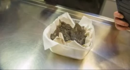 Za parę dni Piknik ZOOstaw, NIE porywaj!