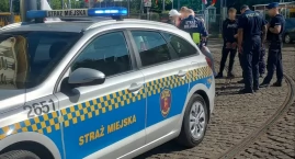 Akcja dewastacja