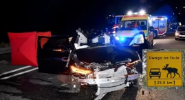 Zderzenie z łosiem – groźny wypadek na S8