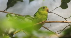 Nowi lokatorzy w Warszawskim ZOO