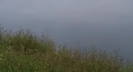 Żegluga Dzielnicy Wisła - załapcie się na darmowy rejs!