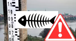ALERT: niski poziom wody w Wiśle już pobił rekord