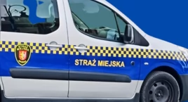 Strażnicy miejscy kontra szalone nastolatki