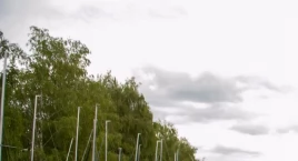 Szaro, jak na październik przystało. Pogoda w Warszawie