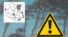 Pogoda w Warszawie. Ostrzeżenia, alerty RCB i stan na 18 listopada