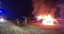 Pożar pojazdów w Skrzeszewie
