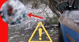Makabryczne znalezisko na rondzie Wiatraczna