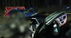 Śmiertelny wypadek na terenie gminy Przytyk (ZDJĘCIA)