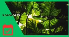 Festiwal Roślin na PGE Narodowym