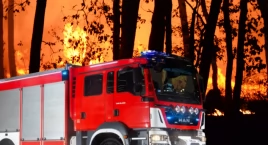 Pożar lasu w Wawrze. Było 