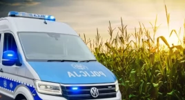 Upozorował własne porwanie. Znaleźli go w polu kukurydzy