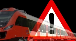 Dzikie zwierzę kontra pociąg. Zderzenie w Wawrze