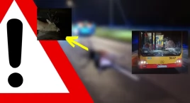 Autobus, auto i jeleń brały udział w wypadku (ZDJĘCIA)