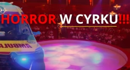HORROR w cyrku! Straszna śmierć na oczach dzieci