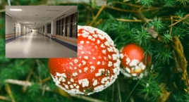 Grzyby jak rosyjska ruletka? Co zrobić w razie zatrucia - już wiemy!