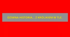Dziwnie zachowująca się 19-latka ZATRZYMANA. Akcja w Legionowie!