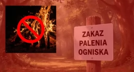 PILNE! Teraz w Lesie Kabackim nie zapalicie nawet PAPIEROSA