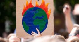 Greenpeace: nie chcemy wracać do normalności 