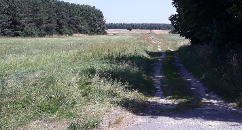 Drogi wiejskie oraz strażnice OSP z dofinansowaniami