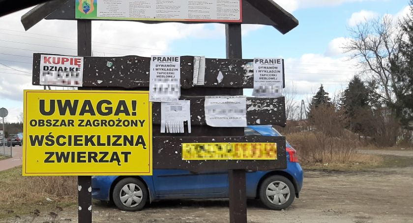 Powiat otwocki - zagrożenie wścieklizną. Nie puszczaj psa wolno!