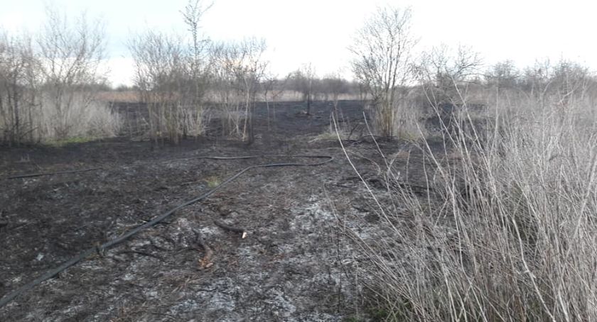 Osiem zastępów straży naraz gasiło pożary traw koło Nadbrzeża