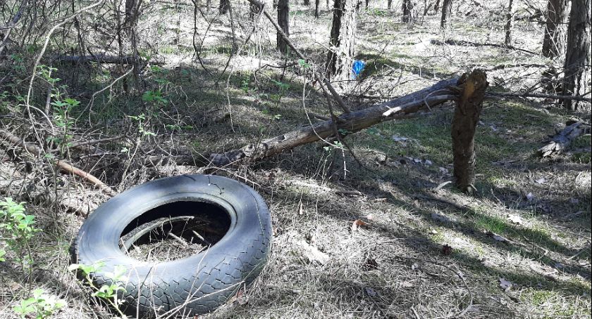 Klęska śmieci w celestynowskich lasach