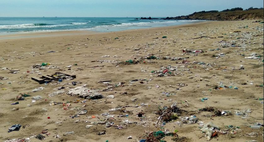 Wakacje nad morzem. Co robić, by nie zmieniać plaż w śmietniska?