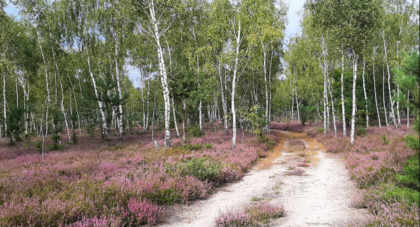 Dzień Dzikiej Flory, Fauny i Naturalnych Siedlisk. Warto dbać o przyrodę każdego dnia