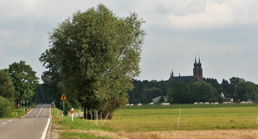 Osieck 2021 - więcej zgonów niż narodzin