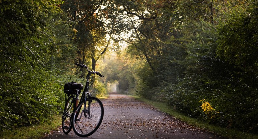 Od piątku rusza wypożyczalnia rowerów w Karczewie