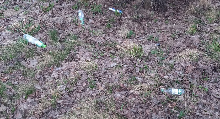 Trwa akcja sprzątania ulic w Karczewie