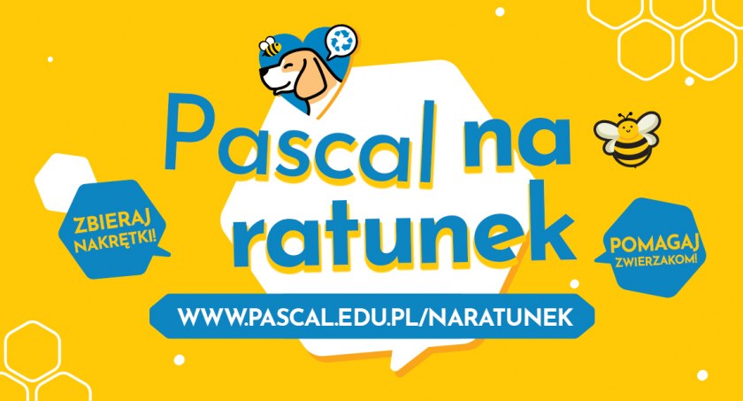 Zbieraj korki – pomagaj zwierzakom!