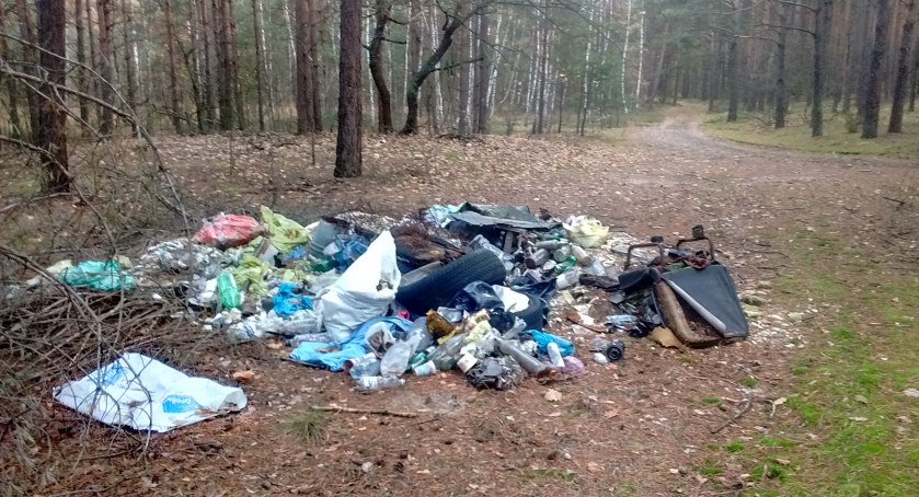 Coraz więcej śmieci na dzikich wysypiskach. Nielegalne instalacje zagrożeniem dla środowiska