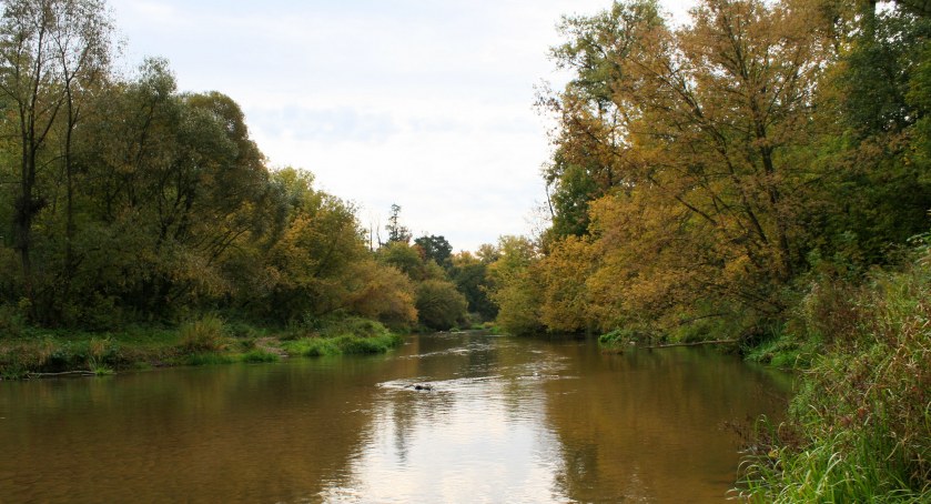 Jesień to najbardziej kolorowa pora roku. Doceń jej piękno i zadbaj o przyrodę