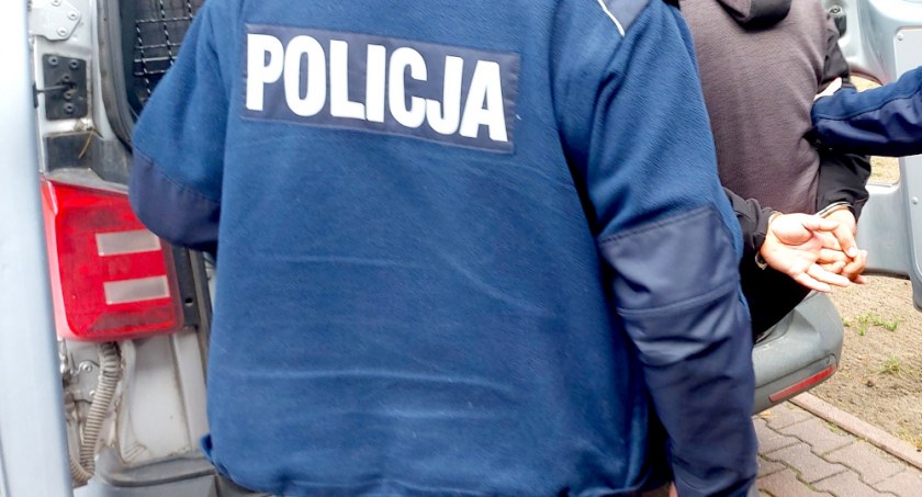 Józefów: Wyciął 14 drzew z prywatnej działki i ukradł drewno