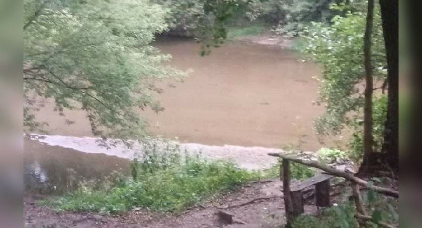 Spacer nad rzekę Świder śladami pobytu m.in Andriollego , Oskragiełły, Wedlów 