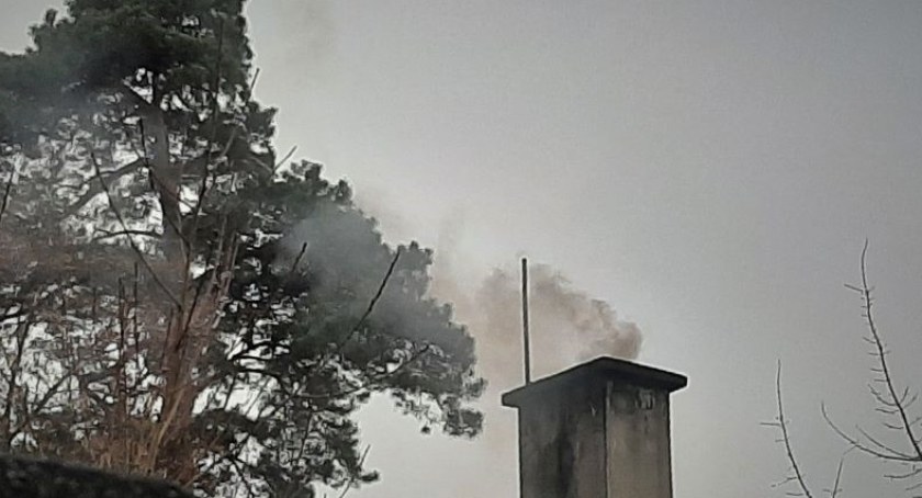 Ryzyko wysokiego stężenia benzo(a)pirenu - zakaz palenia drewnem 