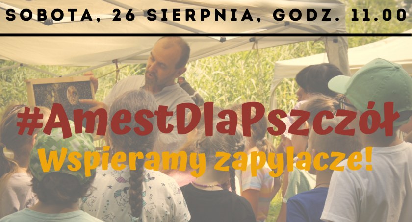 Warsztaty i piknik ekologiczny #AmestDlaPszczół