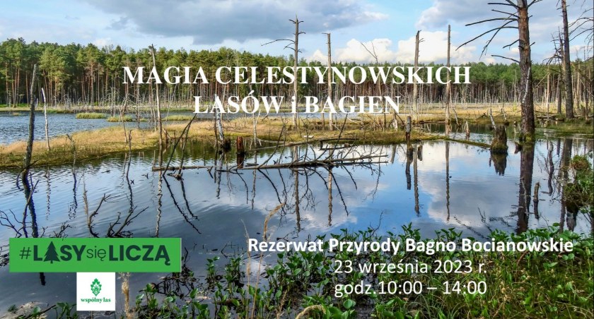 Magia celestynowskich lasów i bagien