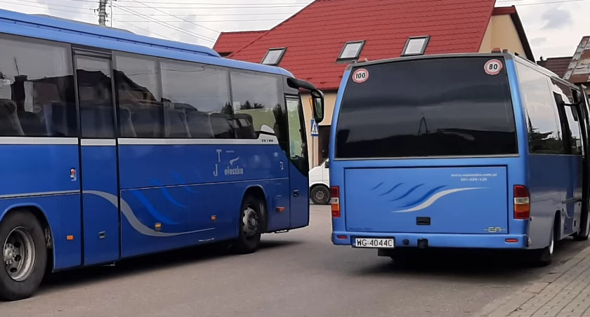 Specjalne, bezpłatne kursy autobusów w dzień wyborów 