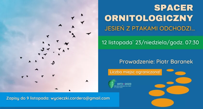 Jesień z ptakami odchodzi… / spacer ornitologiczny