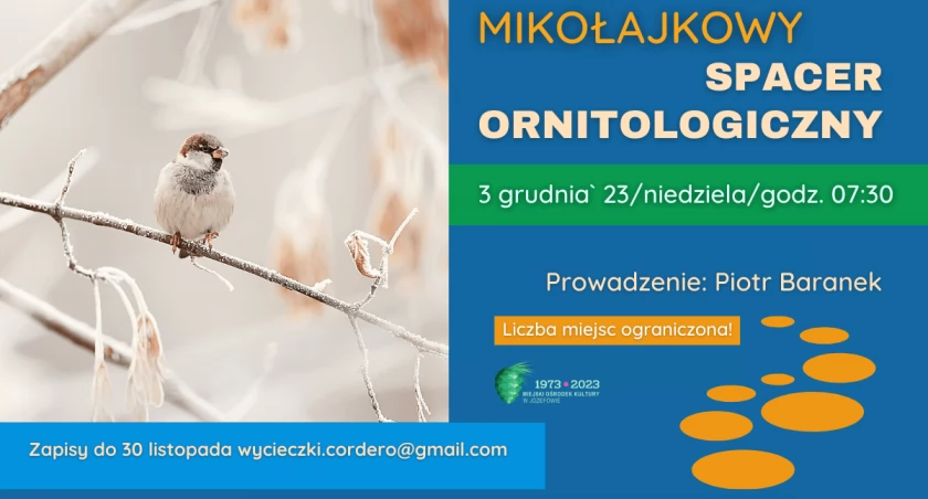 Mikołajkowy spacer ornitologiczny