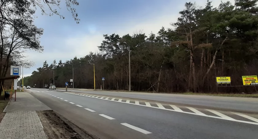 Trzy ekspresowe linie autobusowe do Warszawy - podobną trasą