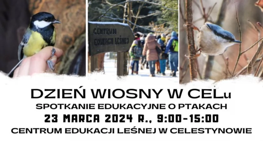 Spotkanie edukacyjne o ptakach