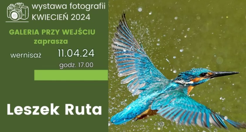 Ptaki Doliny Świdra - wernisaż wystawy fotografii