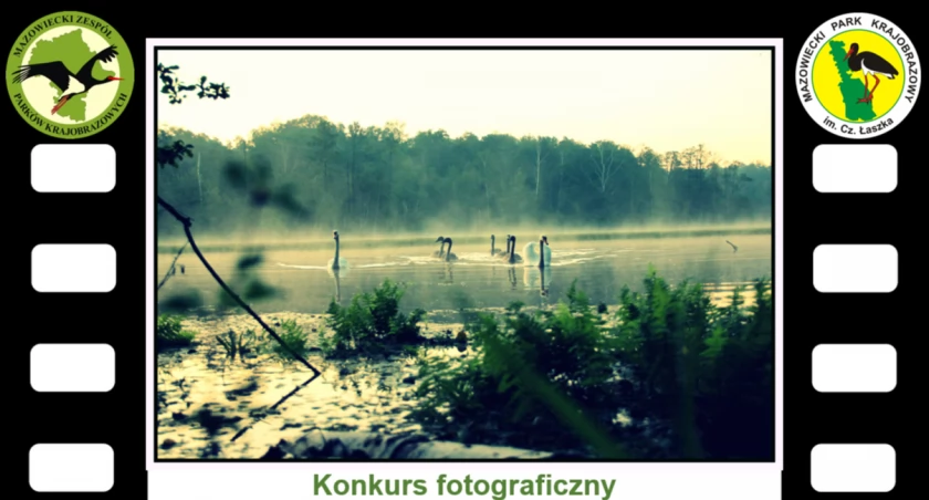 Mazowiecki Park Krajobrazowy - konkurs fotograficzny